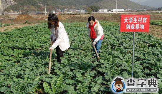 送教下乡活动总结1