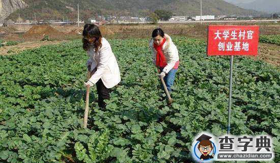 大学生实习心得体会范本1