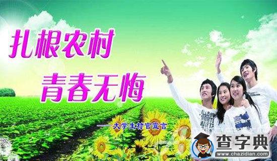大学生团校培训心得体会1