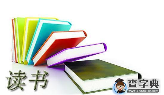 追风筝的人读书心得1