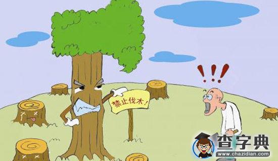 环保演讲稿1