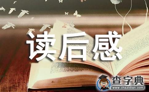 《马提与祖父》读后感优秀范文1